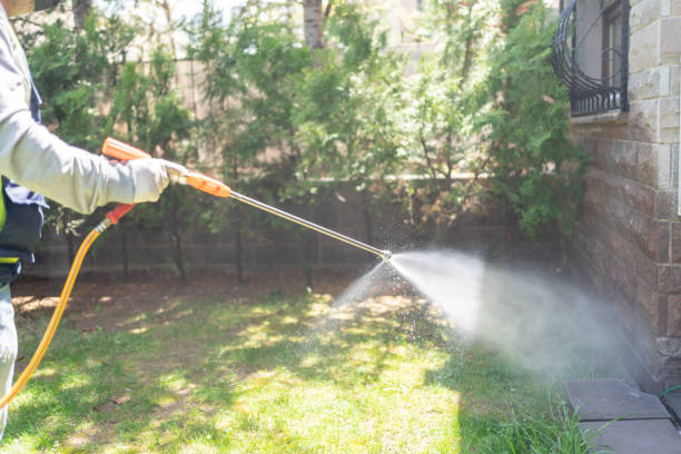 Reliable Monroe North, WA Pest Control Solutions