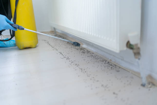 Best Pest Inspection Near Me  in Monroe North, WA