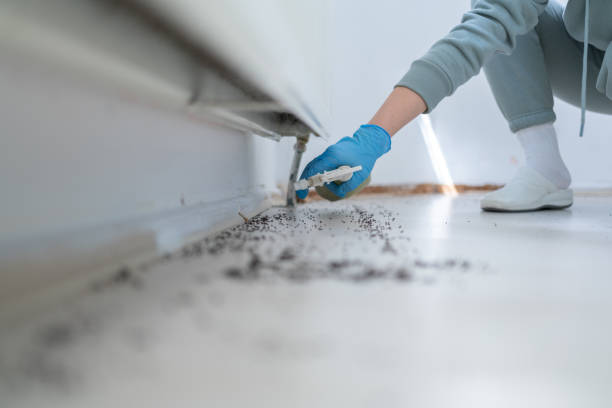 Best Best Pest Control Companies  in Monroe North, WA